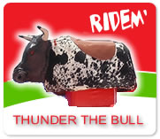 bull rides