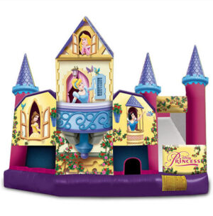 inflatable bounce house rental Disney Princess